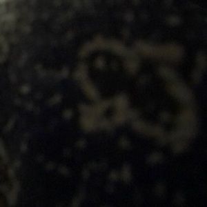 Meet your Posher, Gabriela